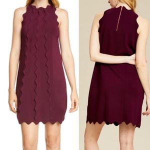 Ted Baker London Rianori Rickrack Scalloped Knit Shift Mini Dress: Oxblo…